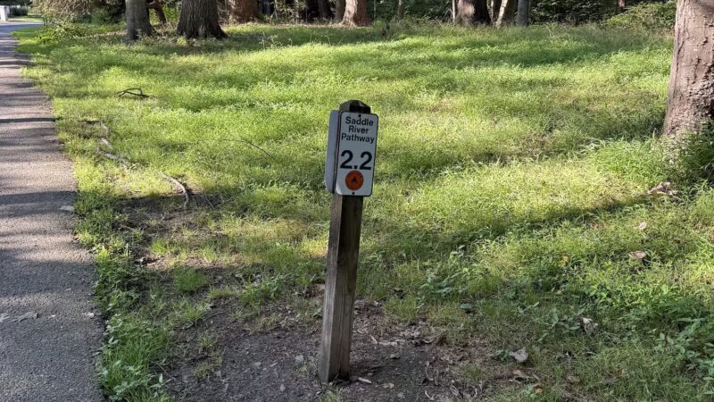 Saddle River Park Waterfall - Glen Rock, NJ