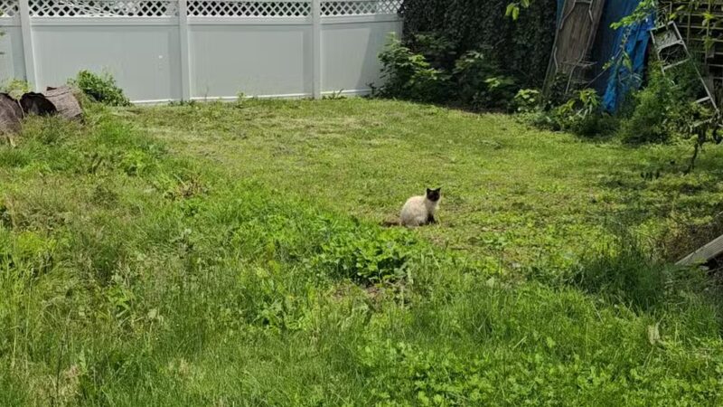 Glen Rock Playground - Glen Rock, PA