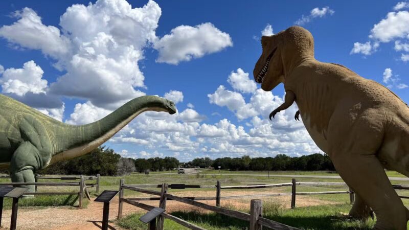 Dinosaur Valley State Park - Glen Rose, TX