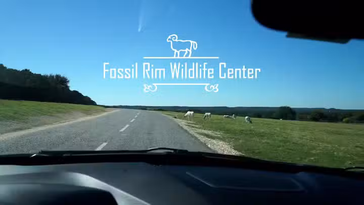 Fossil Rim Wildlife Center - Glen Rose, TX