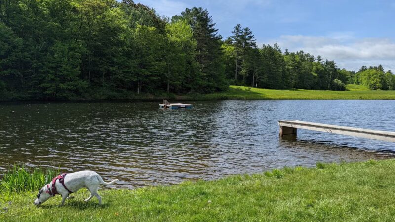 Grafton Trails & Outdoor Center - Grafton, VT
