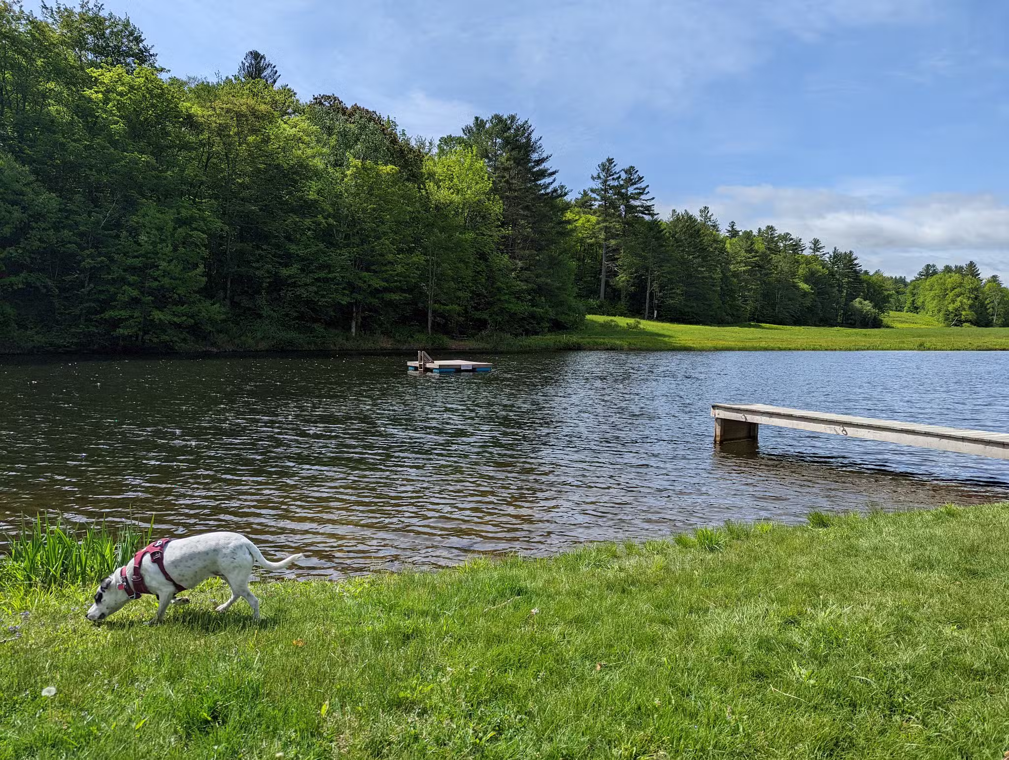 Grafton Trails & Outdoor Center - Grafton, VT