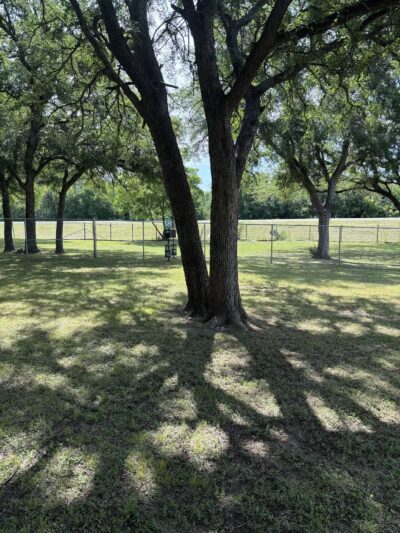 Graham Dog Park - Graham, TX
