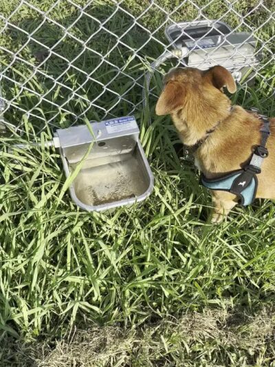 Graham Dog Park - Graham, TX