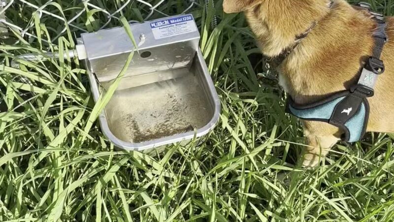 Graham Dog Park - Graham, TX