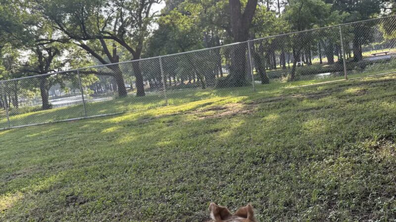 Graham Dog Park - Graham, TX
