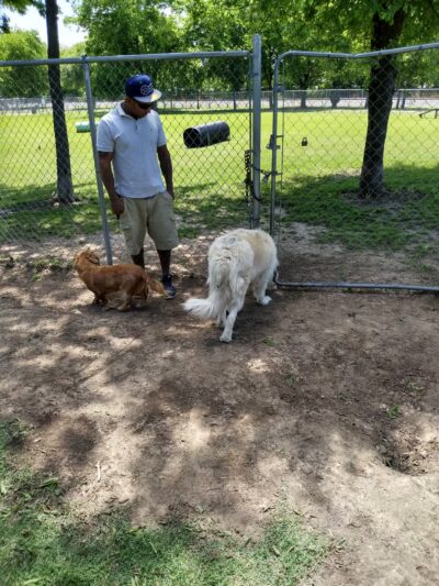 Granbury Bark Park - Granbury, TX