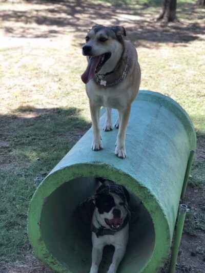 Granbury Bark Park - Granbury, TX
