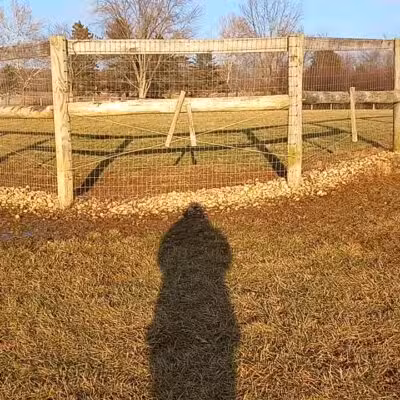 Paws 2 Play Dog Park - Granville, OH