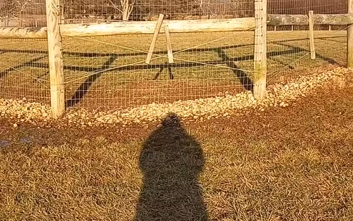 Paws 2 Play Dog Park - Granville, OH
