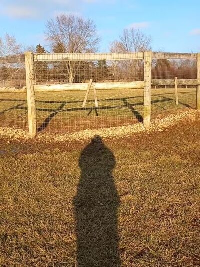 Paws 2 Play Dog Park - Granville, OH