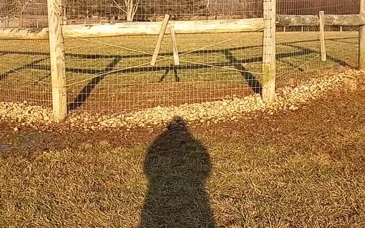 Paws 2 Play Dog Park - Granville, OH