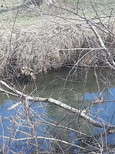 Granville Park - Granville, WV