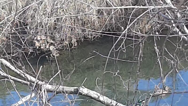 Granville Park - Granville, WV