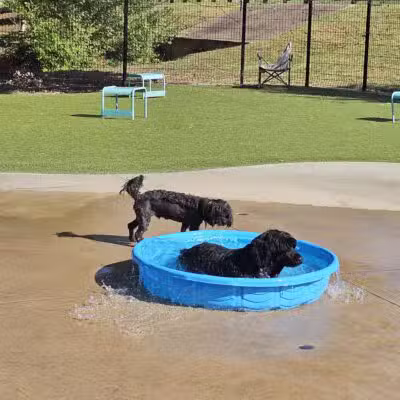 Bark Park at Bear Creek Park - Grapevine, TX
