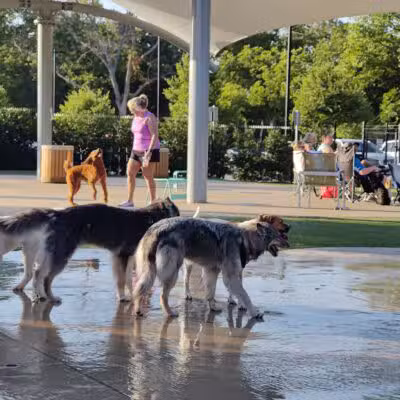 Bark Park at Bear Creek Park - Grapevine, TX