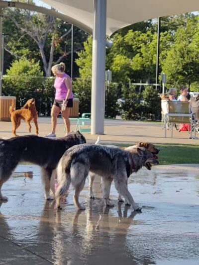 Bark Park at Bear Creek Park - Grapevine, TX