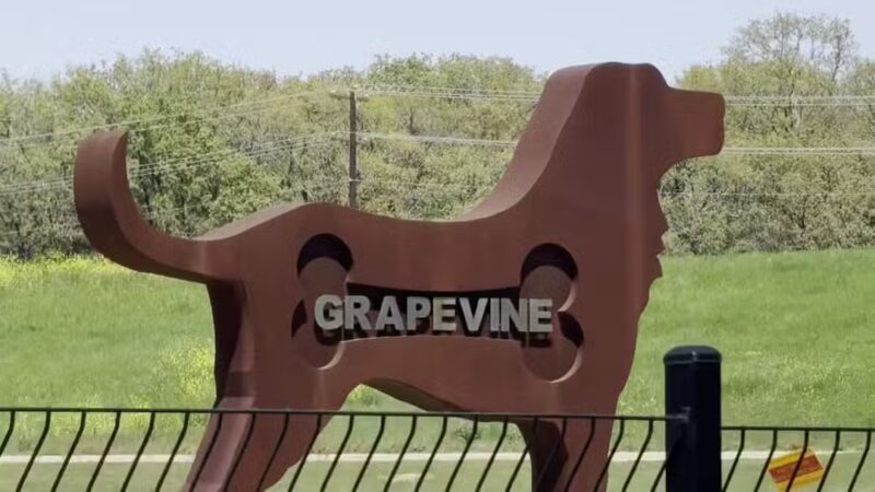 Bark Park at Bear Creek Park - Grapevine, TX