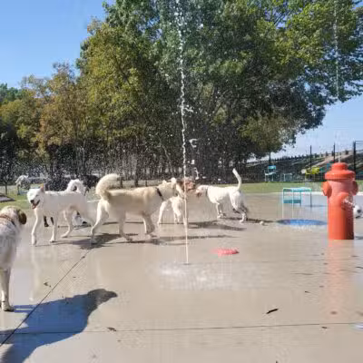 Bark Park at Bear Creek Park - Grapevine, TX