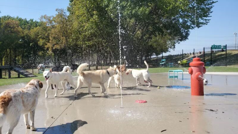 Bark Park at Bear Creek Park - Grapevine, TX
