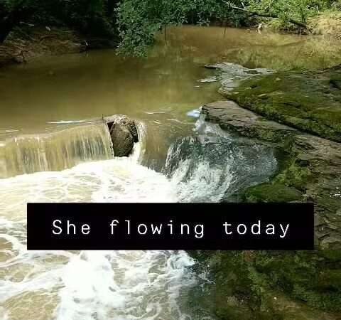 Bear Creek Park - Grapevine, TX