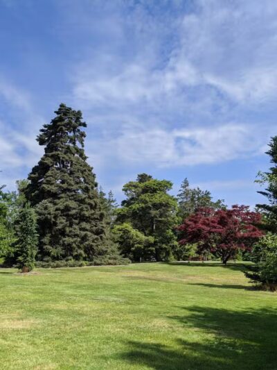 Bayard Cutting Arboretum - Great River, NY