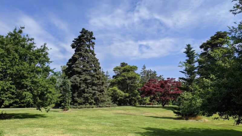 Bayard Cutting Arboretum - Great River, NY