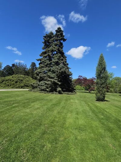 Bayard Cutting Arboretum - Great River, NY