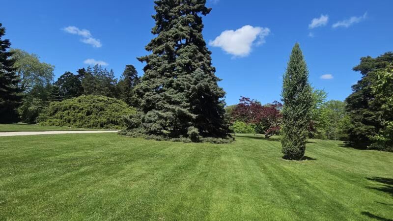 Bayard Cutting Arboretum - Great River, NY