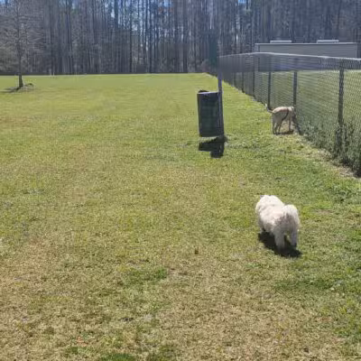 Buchkin Dog Park - Greenville, AL