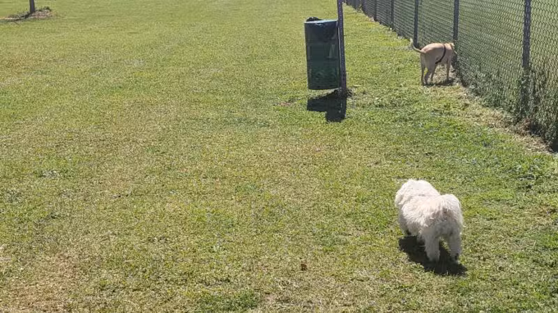 Buchkin Dog Park - Greenville, AL