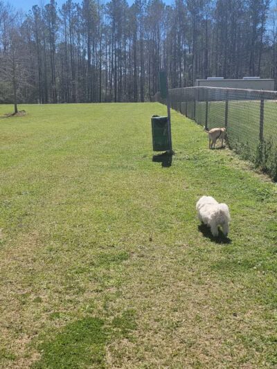 Buchkin Dog Park - Greenville, AL