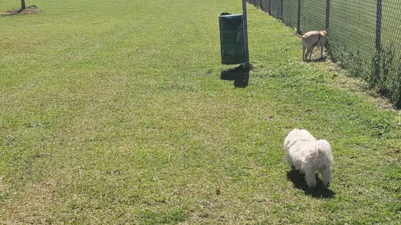 Buchkin Dog Park - Greenville, AL