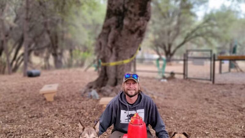 GCSD Dog Park - Groveland, CA