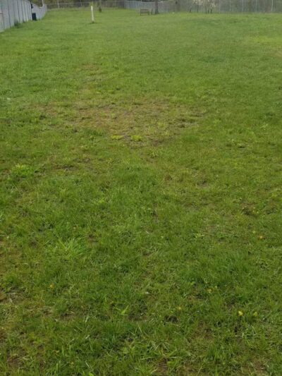 Hackensack Dog Park - Hackensack, MN