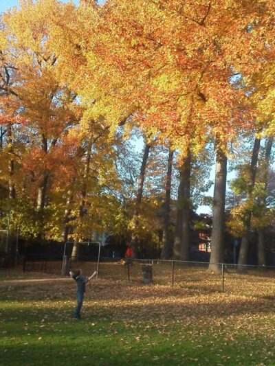 Baldwin Park - Hackensack, NJ