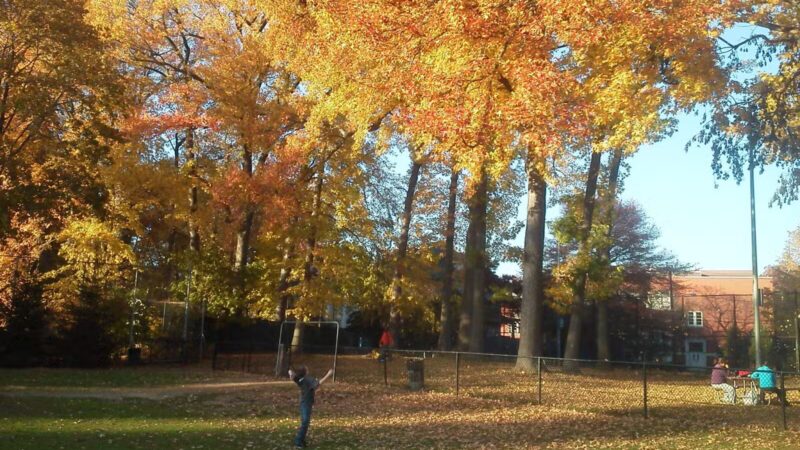 Baldwin Park - Hackensack, NJ