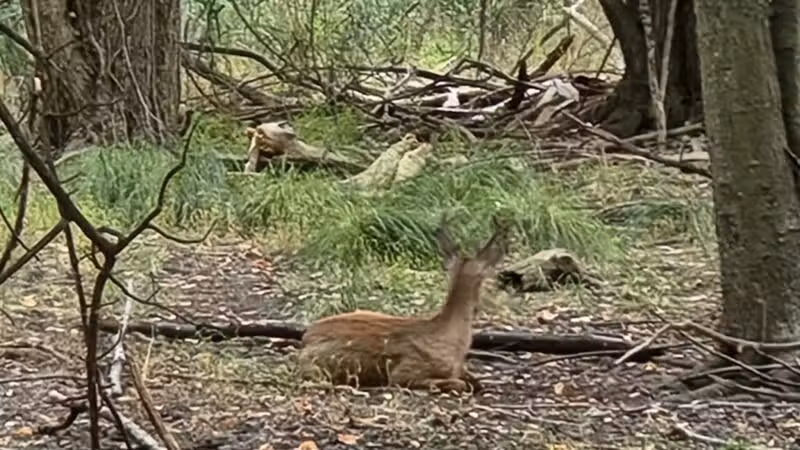 Hackensack River County Park - Hackensack, NJ