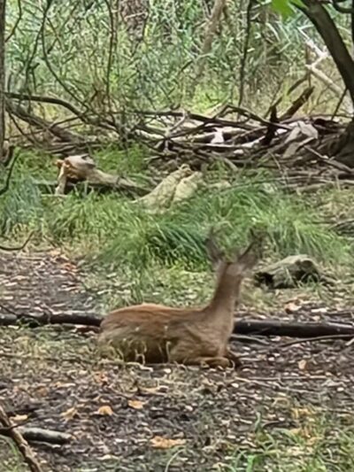 Hackensack River County Park - Hackensack, NJ