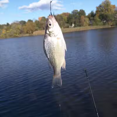 Hackensack River County Park - Hackensack, NJ