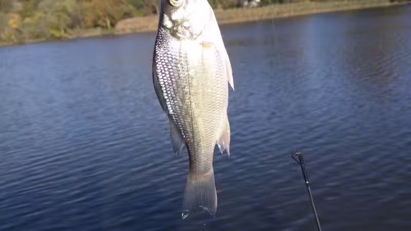 Hackensack River County Park - Hackensack, NJ