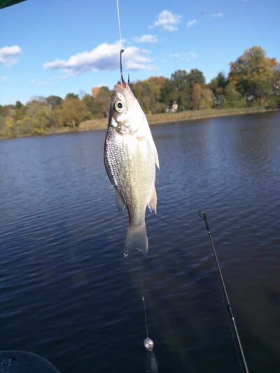 Hackensack River County Park - Hackensack, NJ