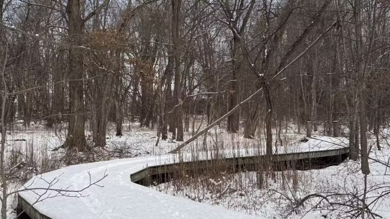 Hackensack River County Park - Hackensack, NJ