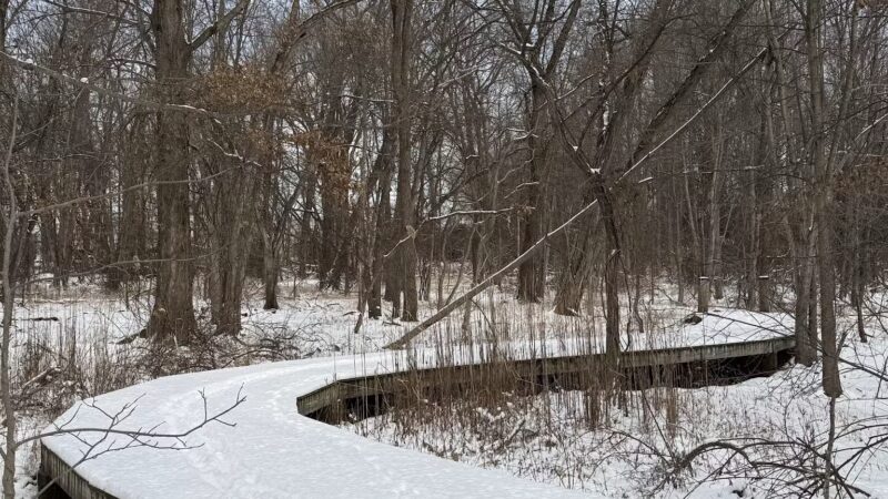 Hackensack River County Park - Hackensack, NJ