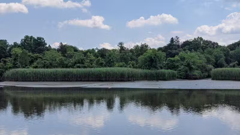 Hackensack River County Park - Hackensack, NJ