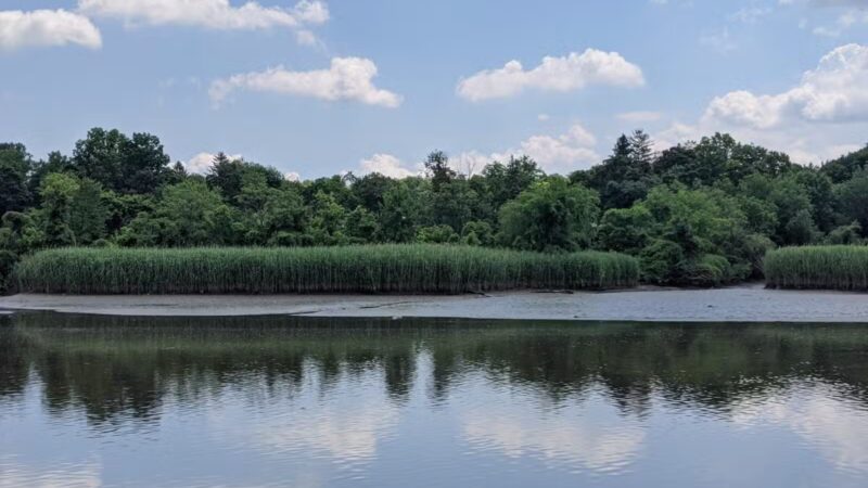 Hackensack River County Park - Hackensack, NJ