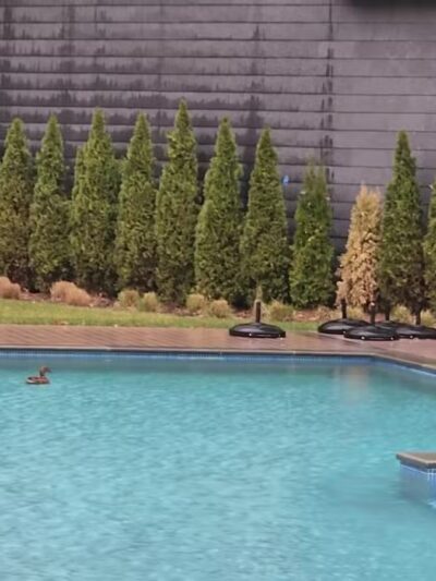 Print House - Hackensack, NJ