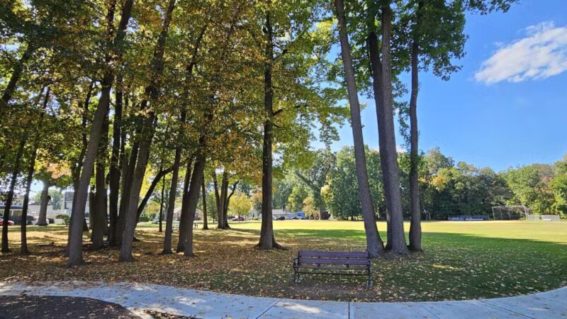 Staib Park - Hackensack, NJ