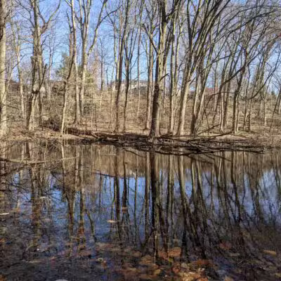 Borg's Woods Nature Preserve - Hackensack, NJ