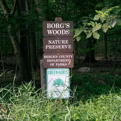 Borg's Woods Nature Preserve - Hackensack, NJ